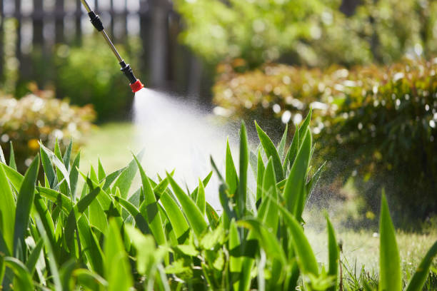 24/7 Emergency Wasp Removal experts in Bloomington, IN
